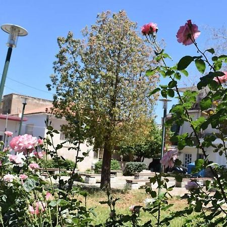 "Amelie" - Kalamata Centre Family Apartment エクステリア 写真